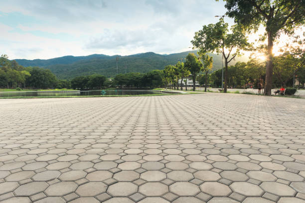 Best Driveway Paving Contractor  in Arrowhead Beach, NC